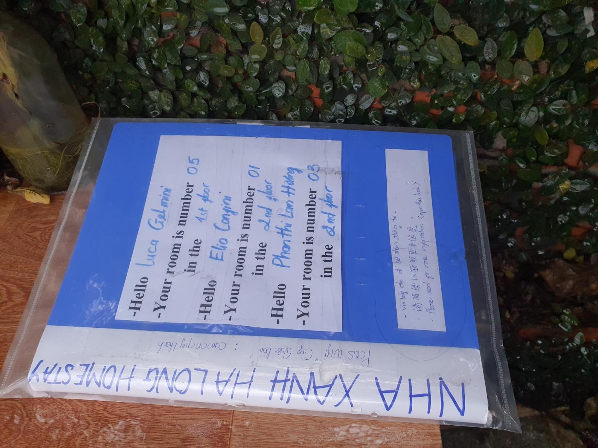 Nha Xanh Ha Long Homestay Ngoại thất bức ảnh